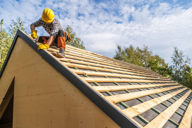 Best Roof Gutter Cleaning  in El Campo, TX